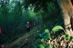 BIB: 
                            <button type="button" onclick="openModal(28124664)" class="btn btn-primary btn-sm float-right btn-popup" data-toggle="modal" data-target=".modal-high-quality">
                        <i class="fas fa-shopping-cart"></i> Add to Cart
                    </button>
                                            <button type="button" onclick="isThisMe(28124664, true)" class="btn btn-success btn-sm float-right btn-popup btn-isme hidden" data-toggle="tooltip" data-placement="bottom" title="นี่คือรูปของคุณใช่ไหม คลิกที่นี่เพื่อเอาเข้าอัลบั้ม">
                        <i class="fas fa-plus"></i> Add to album
                    </button>
                    <button type="button" onclick="isThisMe(28124664, false)" class="btn btn-warning btn-sm float-right btn-popup btn-isnotme hidden">
                        <i class="fas fa-ban"></i> Remove from album
                    </button>